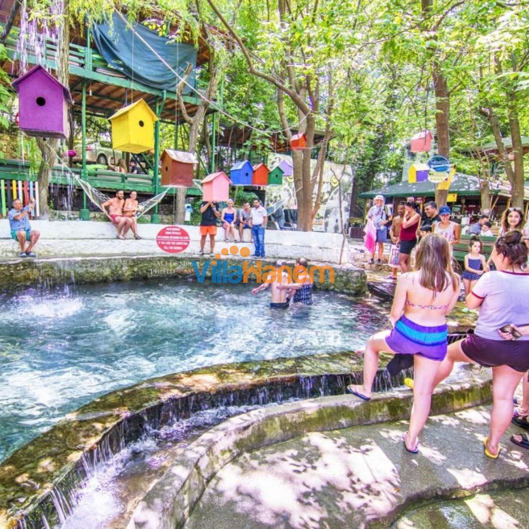 Yavru Cennet Yakapark