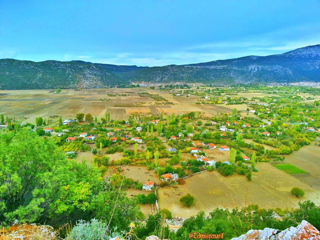 Bezirgan